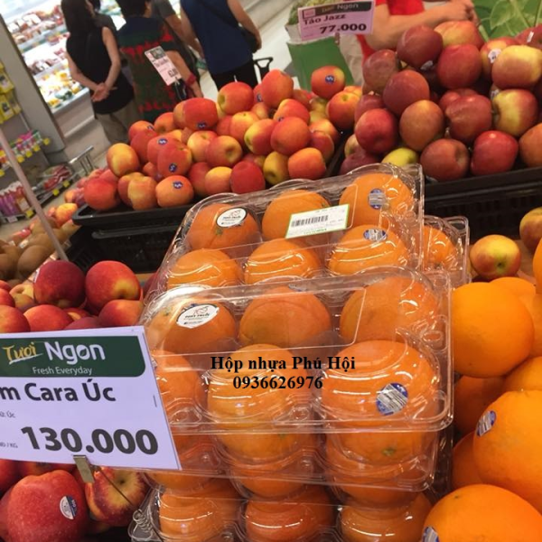 HỘP NHỰA ĐỰNG 6 TRÁI TÁO